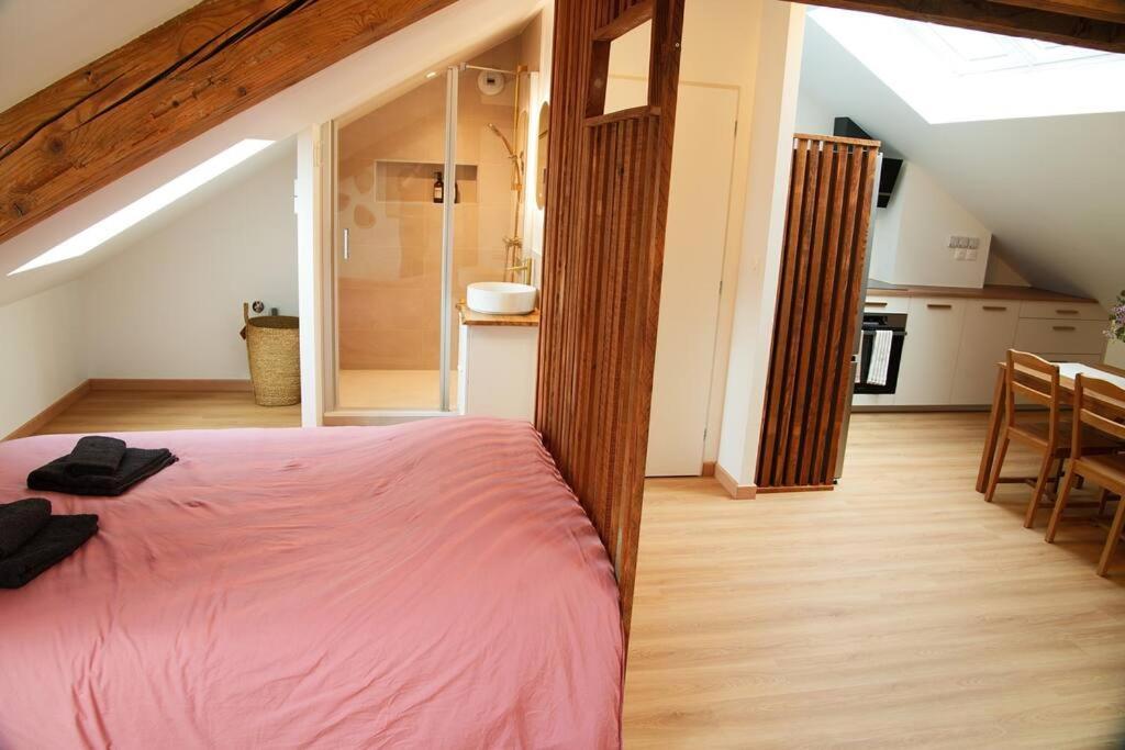 Appartement De Charme A Nancy Kültér fotó
