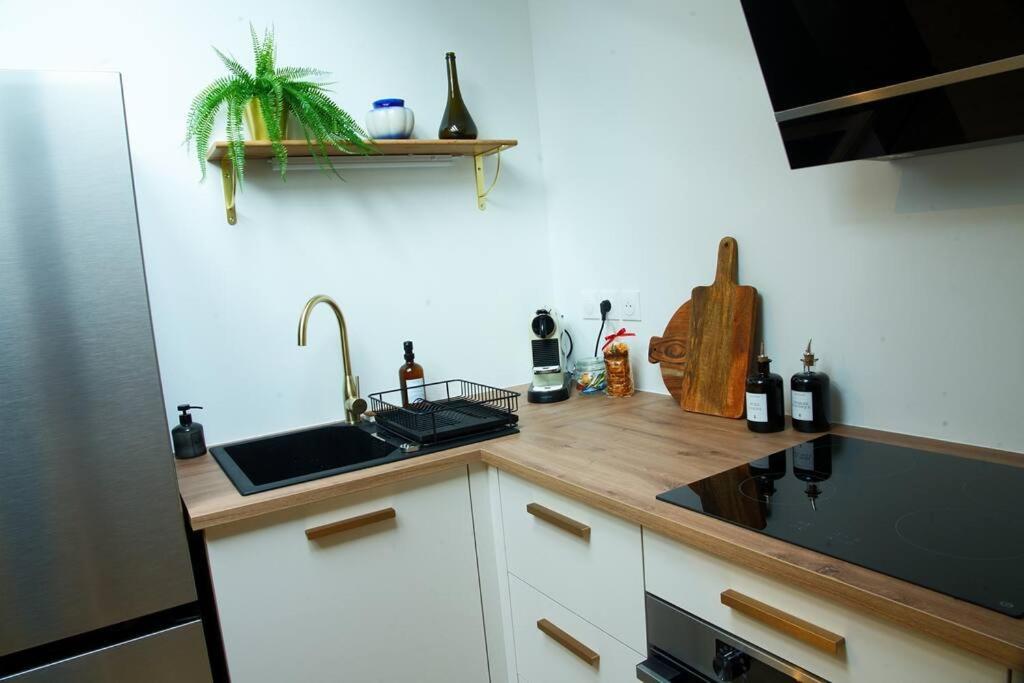 Appartement De Charme A Nancy Kültér fotó